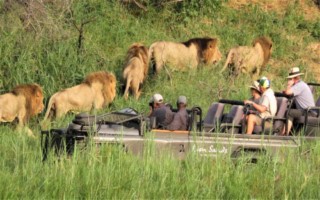 Lion Sands PGR [320x200]